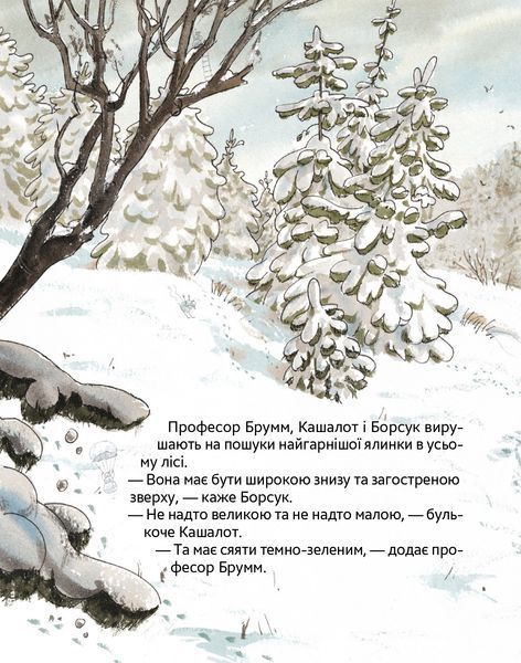 Буде свято Професор Брумм святкує Різдво. Даніель Напп 9786178452124 фото