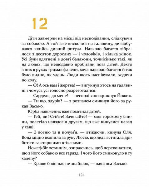 Украдені - Валентина Попелюшка 9789669153029 фото