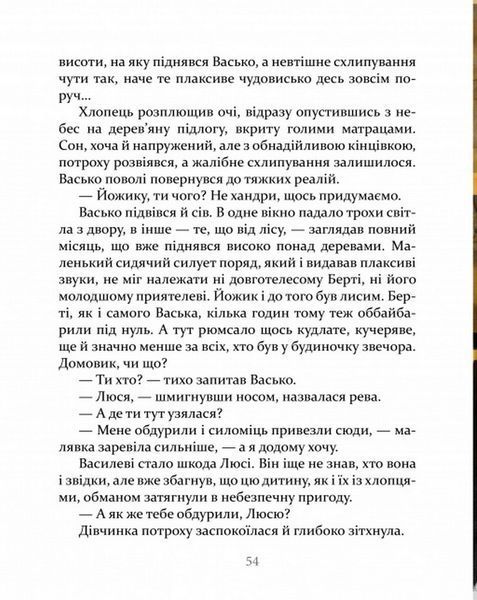 Украдені - Валентина Попелюшка 9789669153029 фото