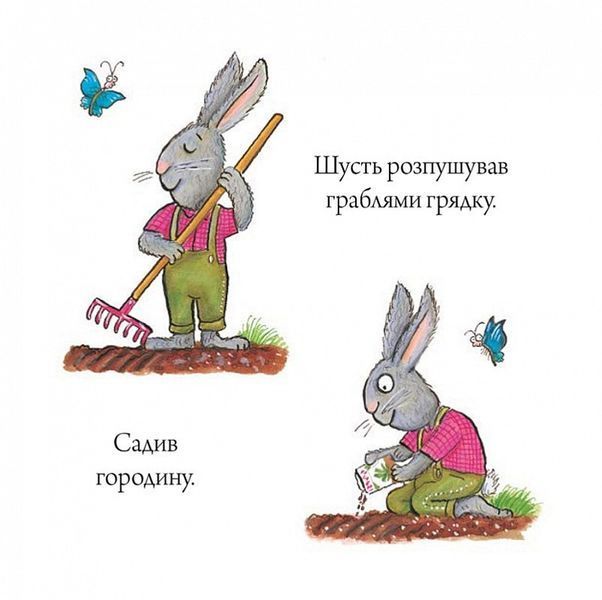 Книга Шусть і Шуня. Приязний равлик. Аксель Шефлер. 1832844293 фото