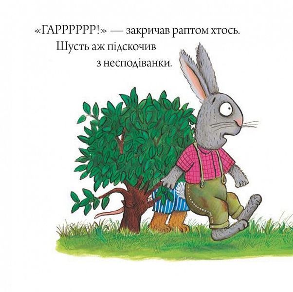 Книга Шусть і Шуня. Приязний равлик. Аксель Шефлер. 1832844293 фото