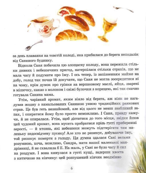 Пригоди пусяки Сані - Аша Фредриксон, О. Кузнецова 9786178253325 фото