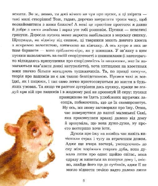 Пригоди пусяки Сані - Аша Фредриксон, О. Кузнецова 9786178253325 фото
