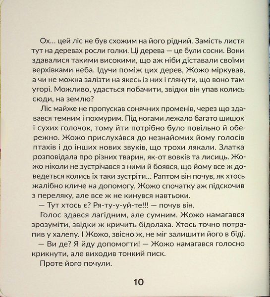 Суничники - Яна Хоменко, Юрій Сосницький 9786178318321 фото