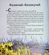 Суничники - Яна Хоменко, Юрій Сосницький 9786178318321 фото 15