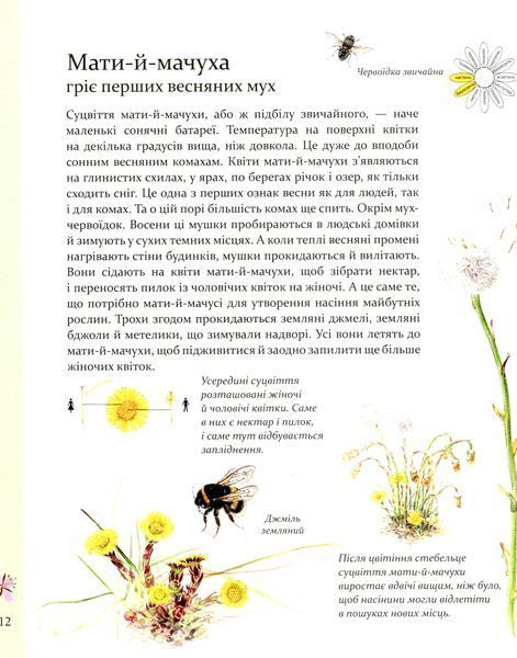 Експедиція з мурахою Софі - Стефан Каста 9786178253974 фото
