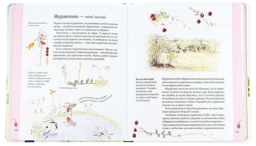 Експедиція з мурахою Софі - Стефан Каста 9786178253974 фото