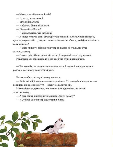 Мамо, а світ великий? - Забіне Больман 9789664484937 фото