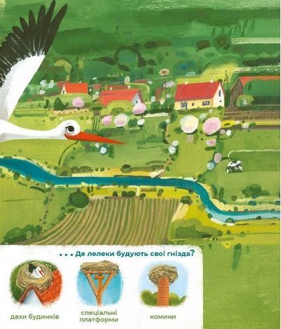 Книга Тулі-Тулі. Дух-опікун тварин розповідає історії про них. Зоф&rsquo;я Станецька. 1387833282 фото