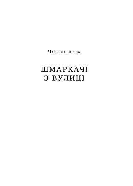 &laquo;Загублений принц&raquo; Наталя Кош | фентезі 9786178178796 фото