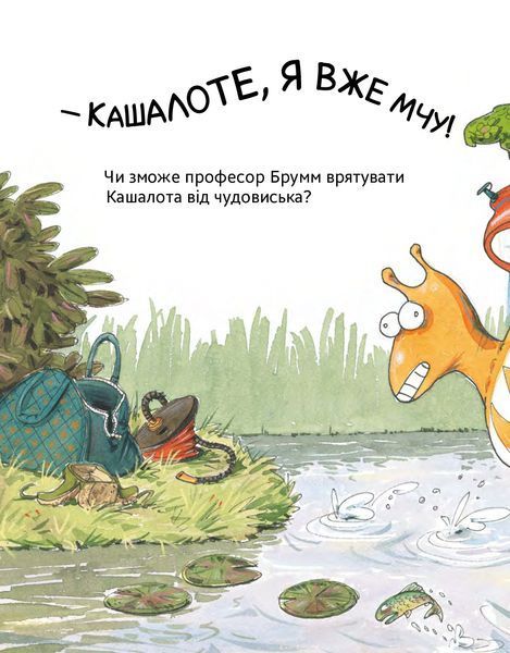 Шалений тиждень професора Брума &mdash; Даніель Напп 9786178452131 фото