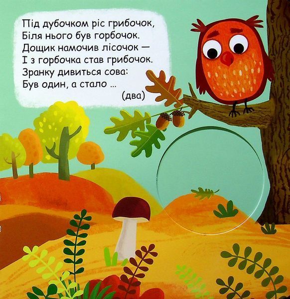 Комплект розвивальних книжок-схованок із віконцями (4 книги) &mdash; Василь Федієнко 9789629819 фото