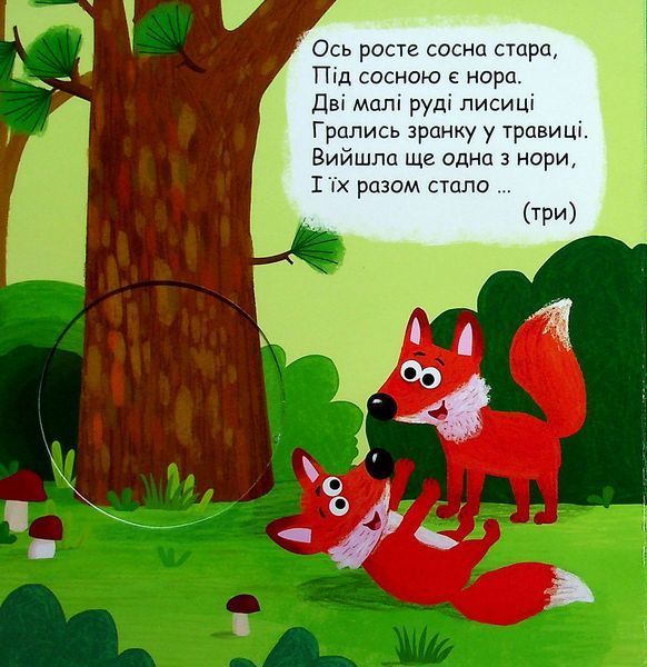 Комплект розвивальних книжок-схованок із віконцями (4 книги) &mdash; Василь Федієнко 9789629819 фото