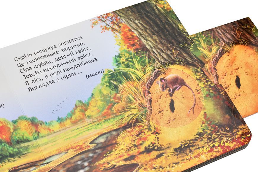Комплект розвивальних книжок-схованок із віконцями (4 книги) &mdash; Василь Федієнко 9789629819 фото