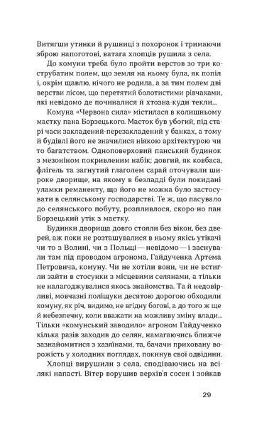 &laquo;Чорний Ангел&raquo; Олекса Слісаренко | українська проза 9786178178758 фото