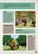 MINECRAFT Посібник з виживання - Томас Макбраєн 9786175231531 фото 7