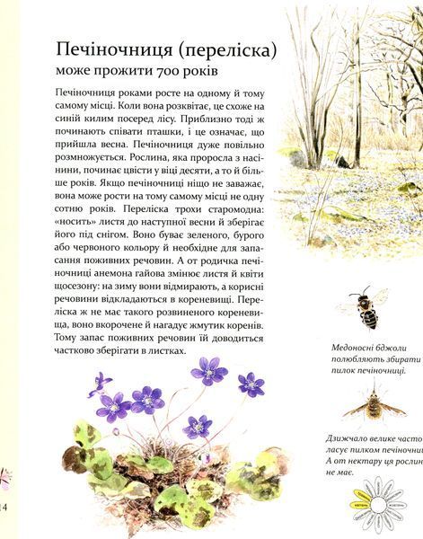 Комплект книг про природу і тварин для дітей (Експедиція за дивовижними тваринами + Експедиція з мурахою Софі) 72765900 фото