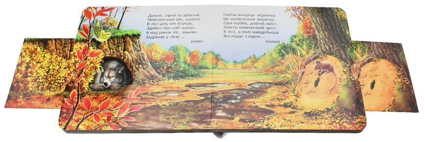 Комплект книжок-схованок із віконцями (3 книги) &mdash; Василь Федієнко 789629819 фото