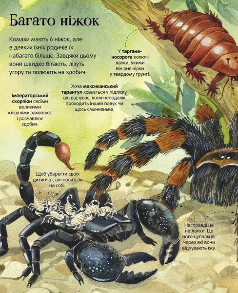 Велика книга комах і не тільки. Емілі Боун, Фабіано Фіорін. 1210552799 фото