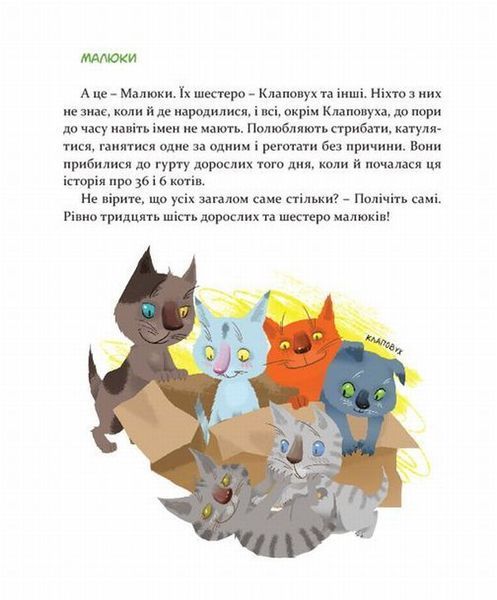 36 і 6 котів &mdash; Галина Вдовиченко | весела дитяча книга про котів, пригоди та доброту 161873 фото