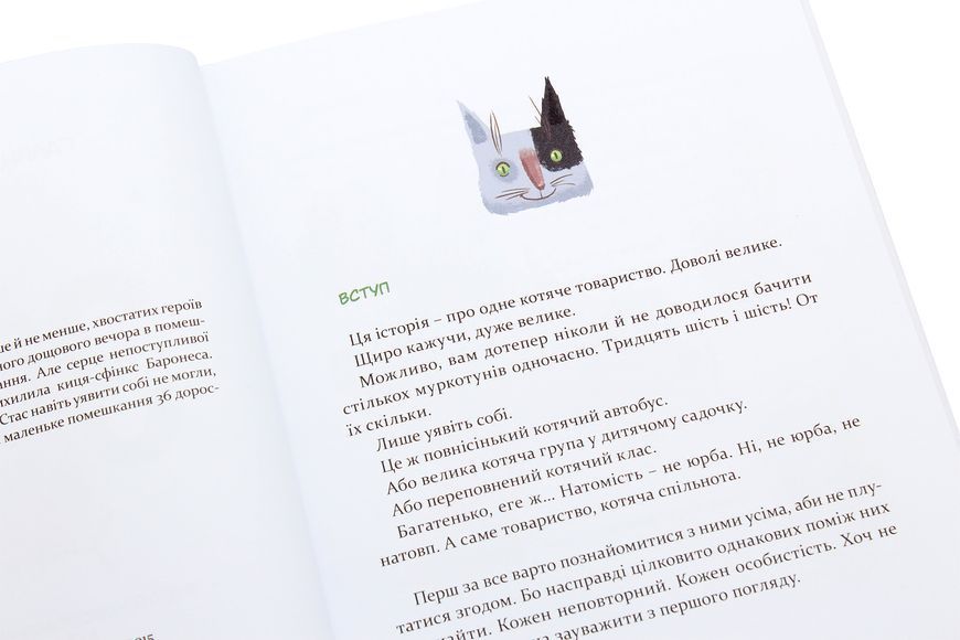 36 і 6 котів &mdash; Галина Вдовиченко | весела дитяча книга про котів, пригоди та доброту 161873 фото
