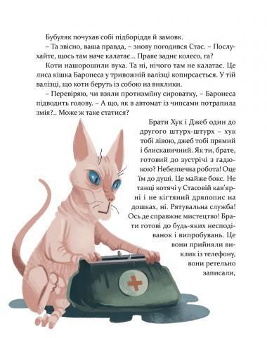 36 і 6 котів-рятувальників &mdash; Галина Вдовиченко | 3 книга про пригоди котів, детектив для дітей 148900 фото