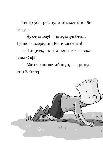 Стінк і великий морськосвинський експрес (Книга 4) &mdash; Меґан МакДоналд 9789664482087 фото