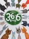 Комплект книг 36 і 6 котів (3 книги) &mdash; Галина Вдовиченко | дитячі пригоди, детективи 7055124 фото 2