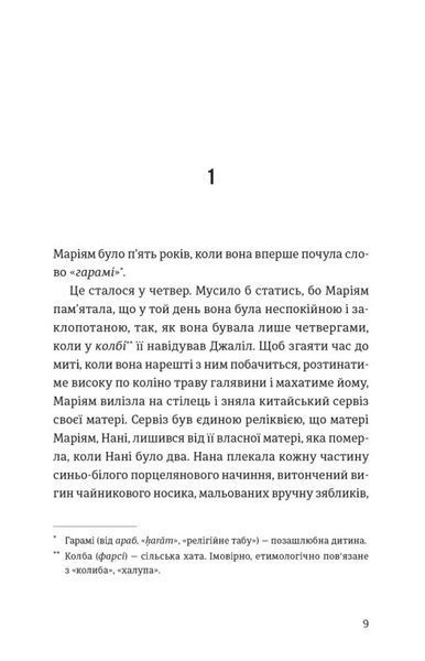 Тисяча осяйних сонць &mdash; Халеда Госсейні (маніфест жіночої незламності) 9789664484852 фото