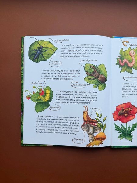 Хвости. Найперший детектив - Анна Захарук 9786178253646 фото